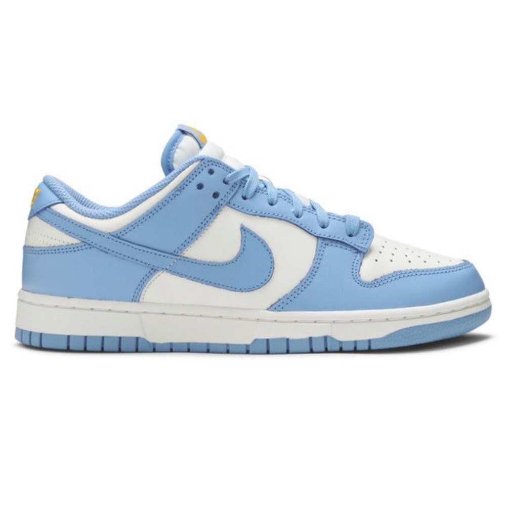 Nike dunks-blue